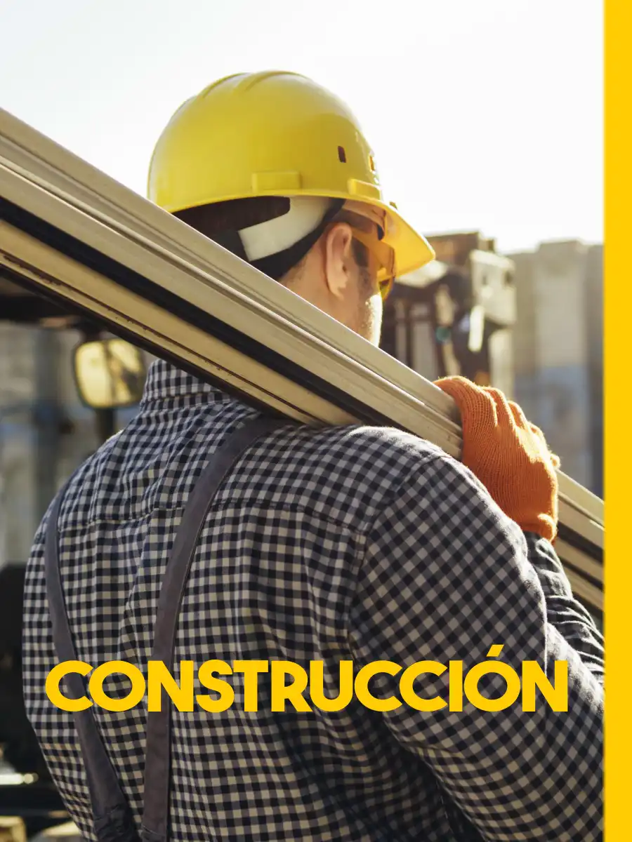 Categoría construcción casa del constructor